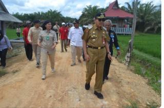 Konsisten Tanam Padi di Tengah Gempuran Sawit, Petani di Desa Palih Baru Dapat Apresiasi