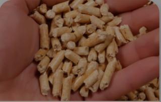 Limbah Sawit Bikin Pria Jatim Ini Dikagumi Pihak Asing