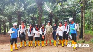 Baru 3 Bulan Kuliah, Ratusan Mahasiswa AKPY ini Sudah Dibooking Perusahaan