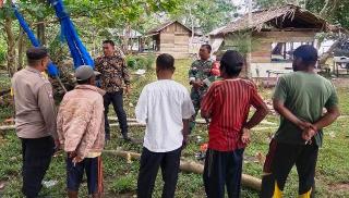 Warga Diingatkan Tidak Tebang Pohon Mangrove di Peureulak, ini Risikonya