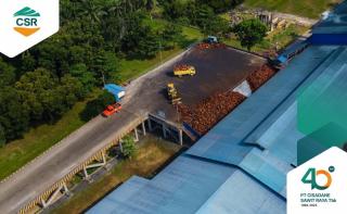 Dapat Kredit Rp 390 Miliar, Perusahaan Sawit Mau Melakukan ini