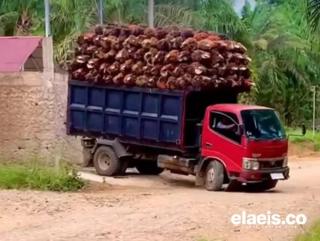 DPRD Kota Bengkulu Desak Dishub Tertibkan Truk Kelapa Sawit Over Kapasitas