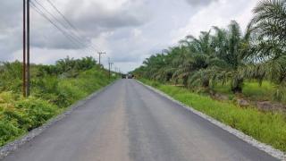 DBH Sawit Kalsel Dipakai untuk Perbaikan Jalan Anjir Pasar Marabahan 