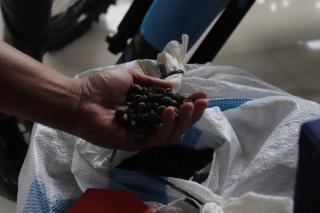 Libatkan Orang Dalam, Tiga Pelaku Curi 48 Ton Inti Sawit Milik PTPN 1 Regional 7