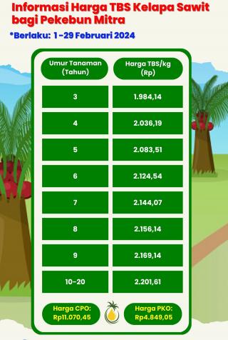 Februari 2024, Harga TBS Sawit di Kaltara Naik