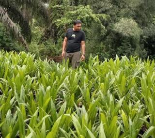 Petani ini Pilih Sawit Karena Yakin Bisa Menghidupi Selama 24 Tahun
