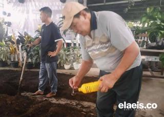 Pupuk Organik Mudah Didapat, Petani Kelapa Sawit Harus Inovatif