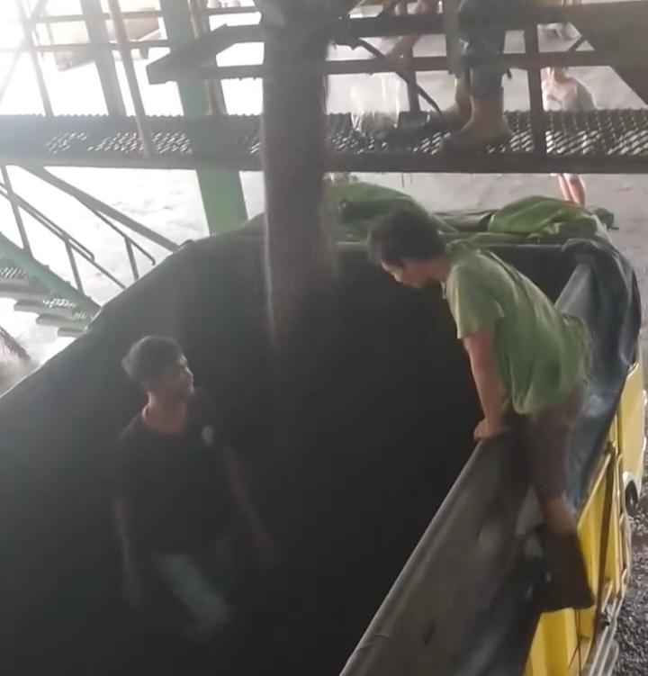 Harga Penawaran Naik Tipis pada Tender Palm Kernel Astra Periode 1 Maret 2024