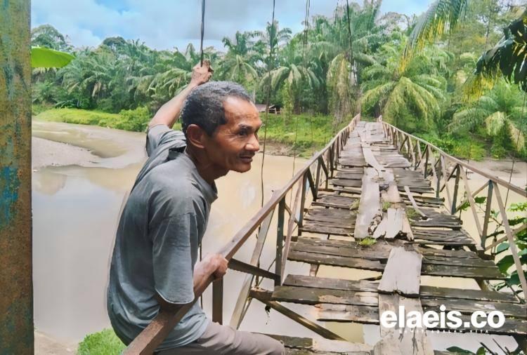 Petani di Bengkulu Kesulitan Membawa TBS Kelapa Sawit Keluar Kebun, Kok Bisa!