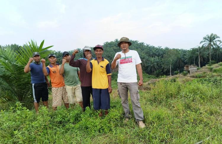 Setahun Dapat Tekanan, Gapoktan Amanah Resah, Tak Fokus Rawat Kebun