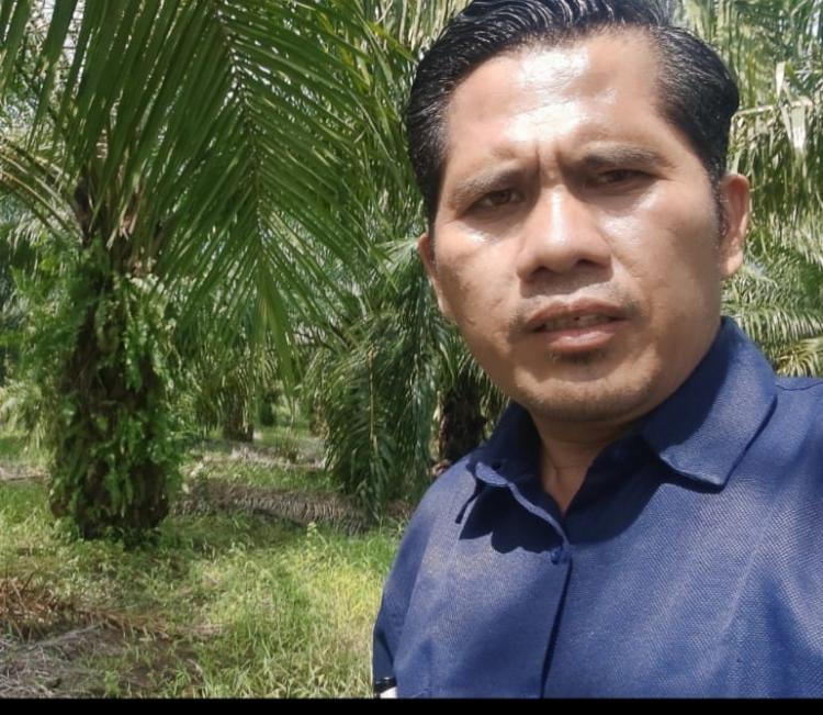 Produksi Kebun Sawit di Kalsel Turun Sampai 20 Persen, Aspek-PIR Beberkan Penyebabnya