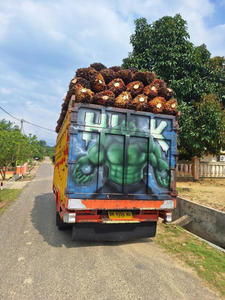 Di Rohil Ada Harga TBS Jokowi, Semua Berkat BRKS dan Progam PSR 