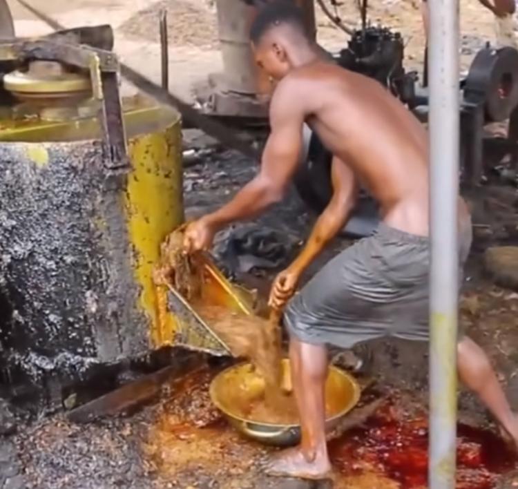 Segini Potensi Keuntungan Petani Kelapa Sawit Jika Mengolah TBS Menjadi Produk Turunannya