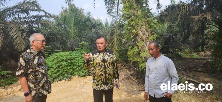 Semangat Mengubah Nama Crude Palm Oil Menjadi Degummed Palm Mesocarp Oil!