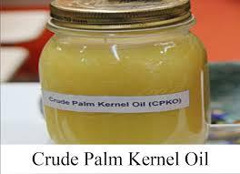 Closing di Rp 14.000-an Harga CPKO Hasil Tender PT KPBN Periode 20 Maret 2024