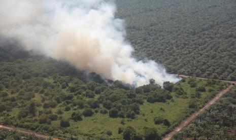 Hingga Akhir Maret 2024, Baru Dua Polres yang Tangkap Pelaku Karhutla di Riau, Sisanya Adem Ayem