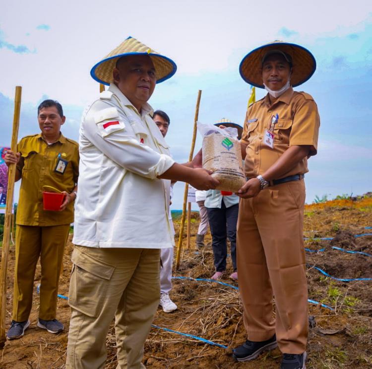 Lebih 1.200 Hektar Kebun Sawit di Paser Siap Ditanami Padi Gogo 