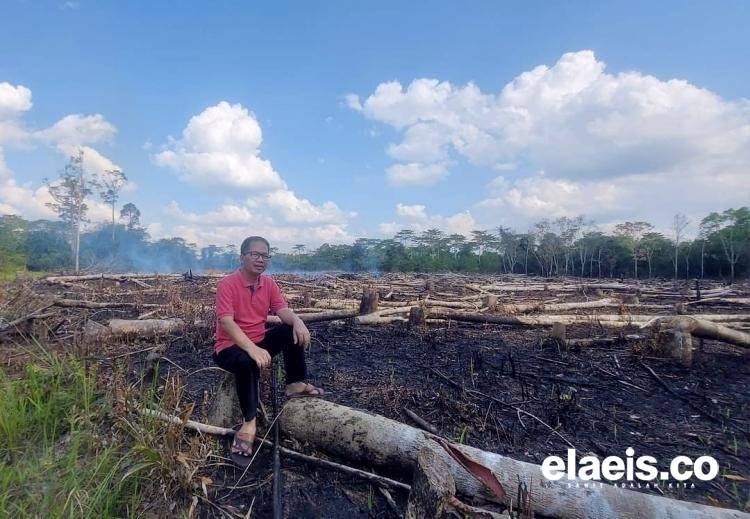 Harga Naik Terus, Petani Karet di Bengkulu Beralih ke Tanaman Kelapa Sawit