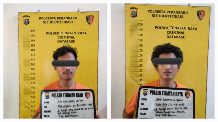 Bukannya Ibadah, Dua Pria ini Malah Garong Buah Sawit Warga di Bulan Puasa