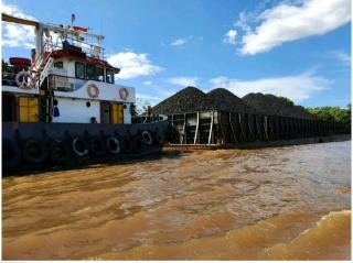 Tiga Pelabuhan di Kalteng Jadi Pintu Ekspor Sawit dan Kayu, Batu Bara Lewat Mana?