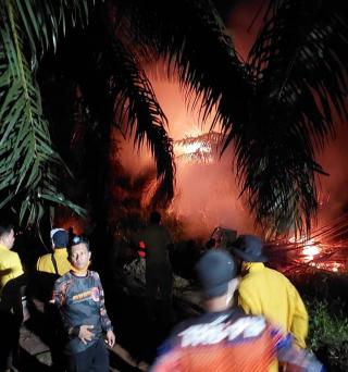 Lahan Gambut Terbakar, Kebun Sawit Perusahaan Terancam