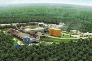 Penjualan Turun, Laba Perusahaan Sawit ini Malah Melonjak 912%