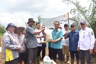 Kementan Gencarkan Integrasikan Padi Gogo dengan Sawit dan Kelapa