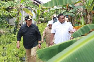 Upsus Optimalisasi Lahan Rawa Diharapkan Tingkatkan Kesejahteraan Petani