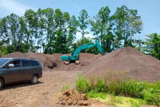 Cangkang Sawit Milik Petani atau PKS, Ini Penjelasannya!