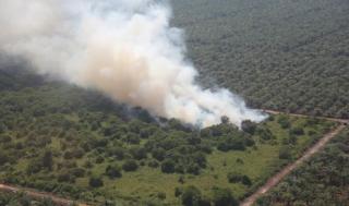 Hingga Akhir Maret 2024, Baru Dua Polres yang Tangkap Pelaku Karhutla di Riau, Sisanya Adem Ayem