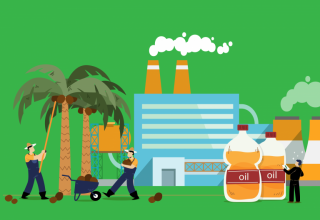 Mengenal Lebih Jauh Prodi Agribisnis Kelapa Sawit di PTKI Medan