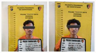 Bukannya Ibadah, Dua Pria ini Malah Garong Buah Sawit Warga di Bulan Puasa