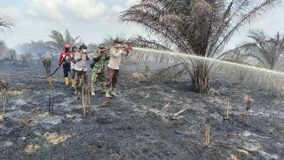 15 Hektar Kebun Sawit Kopsa Permadani Terbakar