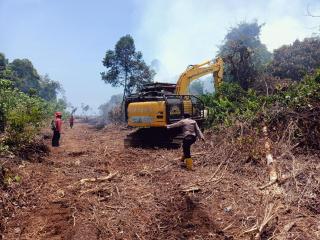 Terik, Hutan hingga Kebun Sawit Masyarakat Terbakar di Tiga Lokasi di Bengkalis 