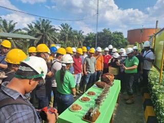 Dukung Petani Plasma, BSI Siap Biayai Pembukaan Kebun Baru dan Replanting Sawit