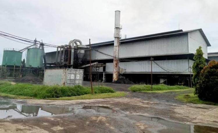 PKS di Mukomuko Tetapkan Jadwal Libur Lebaran: Petani Disarankan Atur Jadwal Panen Sawit