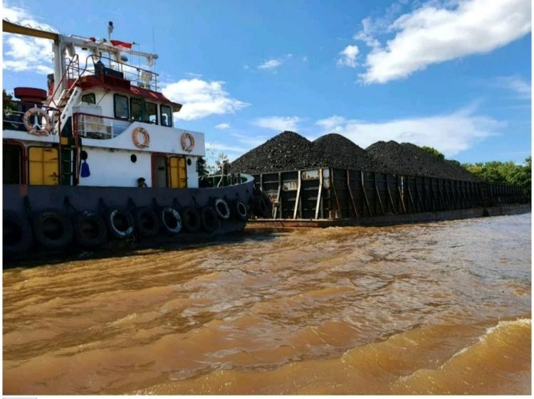 Ekspor Sawit Kalteng Ngedrop di Februari 2024, Batu Bara Sebaliknya 