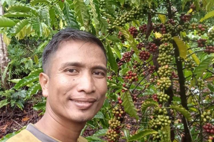 Petani di Kabupaten Mukomuko Sebut Budidaya Kopi Lebih Untung Dibandingkan Kelapa Sawit