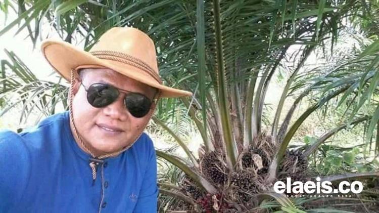 Jangan Ganggu PKS Mini