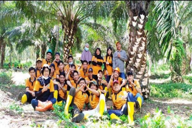 Petani Tidak Perlu Jual Kebun Sawit Untuk Biayai Pendidikan Anak, Ini Solusinya