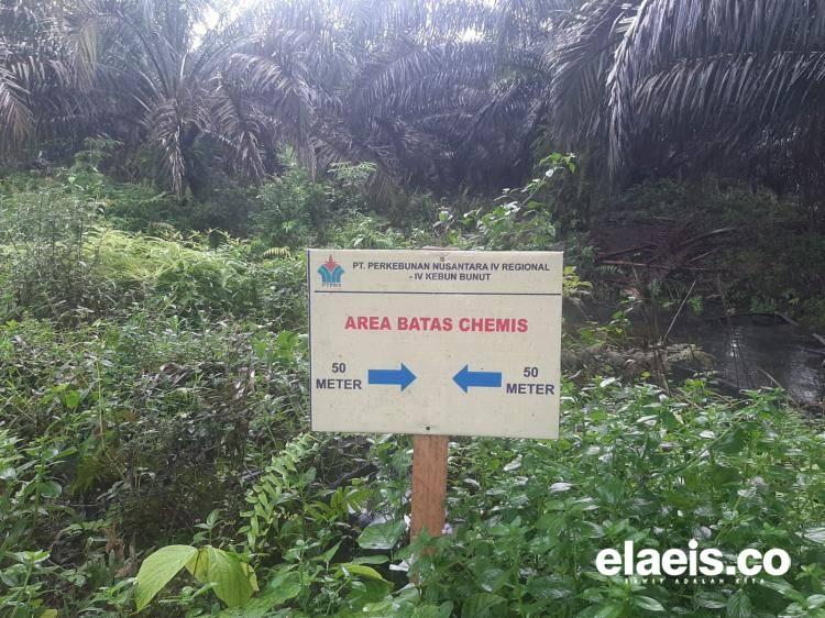 PTPN IV Jambi Dinilai Tak Konsisten Soal Ini 