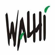 Selain Memuji, Walhi Kritik Fatwa MUI 