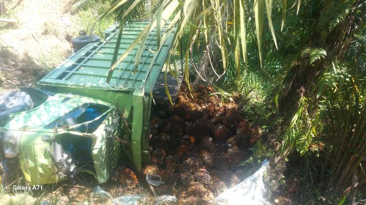 Kerap Telan Korban, Apkasindo Minta Pemprov Aceh Perhatikan Jalan Lintas Gunung Kapur