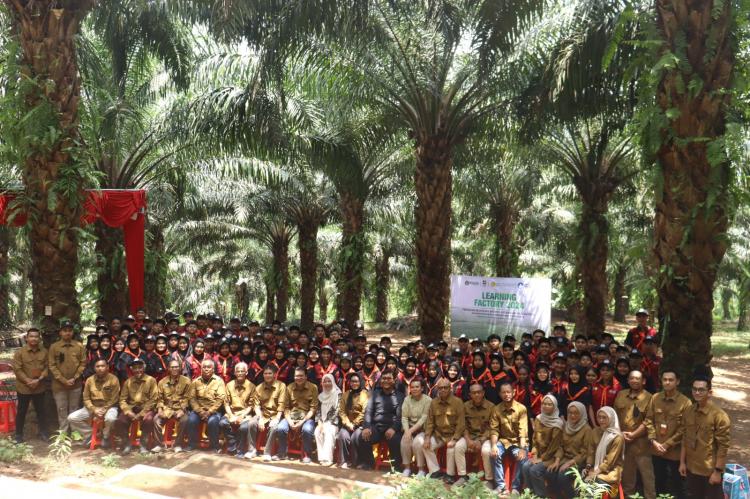 ASN dan PPPK Bisa Dapat Beasiswa Sawit, Simak Syaratnya 