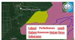 Skema PPTPKH Diharapkan Percepat Penyelesaian Kebun Sawit Rakyat di Kawasan Hutan