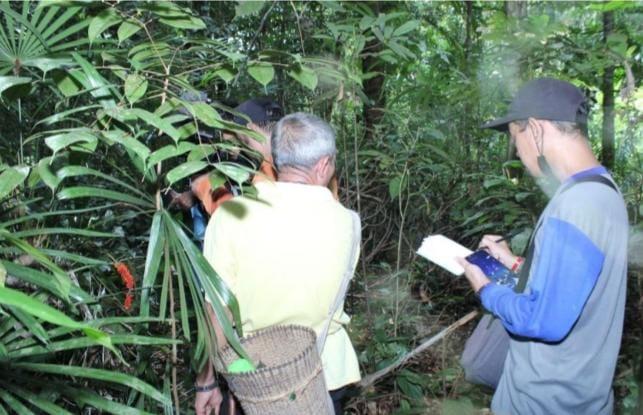 Selandia Baru Danai Perlindungan Hutan Adat di Kalbar 