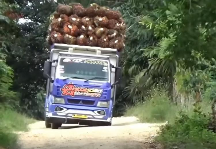 Truk Angkutan TBS Kelapa Sawit Lawan Aturan Bakal Ditindak