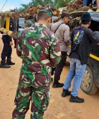 Bisa Ganggu Iklim Investasi, Pendirian Pabrik Sawit Tanpa Kebun Harus Dibatasi