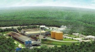 Hanya Masalah Sepele, NIB Perusahaan Sawit Bisa Dicabut, Ini Penjelasannya!