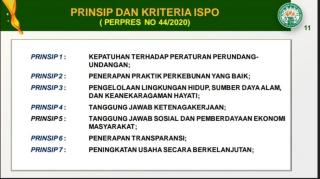 Muluskan Mandatory ISPO, Kepala Daerah Sentra Sawit Diminta Lakukan ini